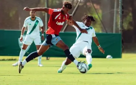الأهلي يهدر انتصارا وديا أمام ريو أفي البرتغالي