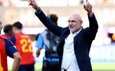 دي لا فوينتي: منتخب إسبانيا بطل العالم ويركز على المستقبل