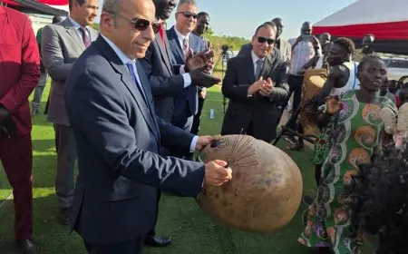 افتتاح محطة مياه جوفية جديدة في جنوب السودان بحضور السفير المصري