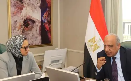 وزارة الاستثمار توجب على الشركات الأجنبية تقديم بيانات الاستثمار المباشر