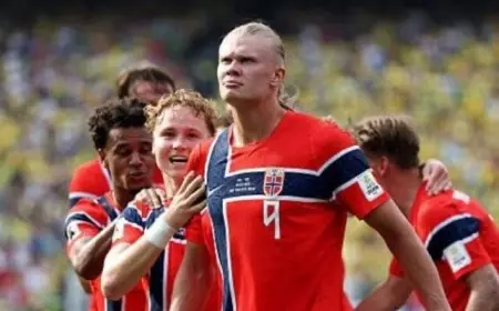 هالاند يتألق وفوزينيا يجذب الانتباه.. أبرز لاعبي كأس العالم 2026 الذين حققوا أكبر عدد من المتابعين الجدد