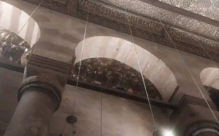 الحكومة تضع حداً للجدل حول فيديو الخفافيش في شارع المعز وتؤكد: الفيديو قديم وتمت معالجته