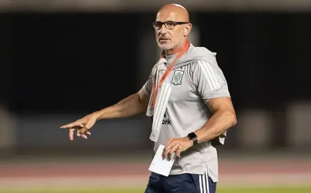 دي لا فوينتي: أهمية سعادة الجماهير تتجاوز فوز كأس العالم