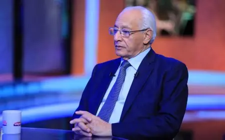 علي الدين هلال يبرز أوجه التشابه بين حكم الرئيسين عبد الناصر والسيسي في التحالف الشعبي
