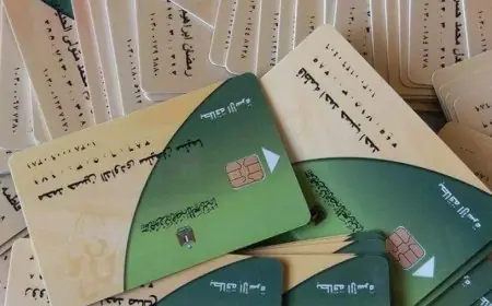 وزارة التموين تفتح باب تحديث بيانات أصحاب البطاقات المتوقفة اليوم