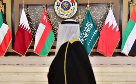 مصر تؤكد دعمها وتضامنها مع دول مجلس التعاون الخليجي والأردن والدول العربية