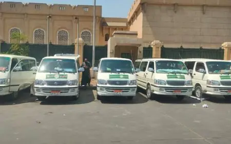 محافظ الجيزة يصادق على إضافة 115 سيارة أجرة جديدة لتعزيز خدمات النقل في المحافظة