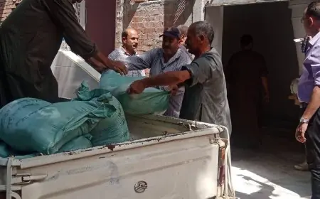 ضبط 500 كيلو من الدقيق البلدي المدعم المحظور في أسواق المنوفية