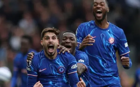الهلال يستهدف نجمين من الدوري الإنجليزي بعد نجاح صفقة سامرفيل