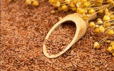 مصر تطلق خطة حكومية جديدة لإحياء صناعة الكتان ومركز البحوث الزراعية يكشف التفاصيل