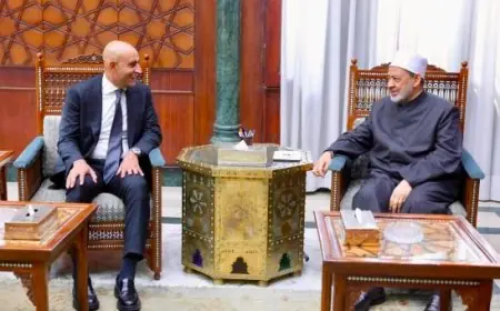 شيخ الأزهر يؤكد: الحفاظ على اللغة العربية لا يتعارض مع تعلم اللغات الأجنبية