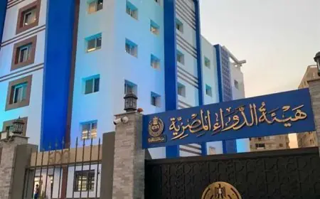 رئيس هيئة الدواء يلتقي مدير عام HVD لتطوير التعاون بين مصر وإفريقيا