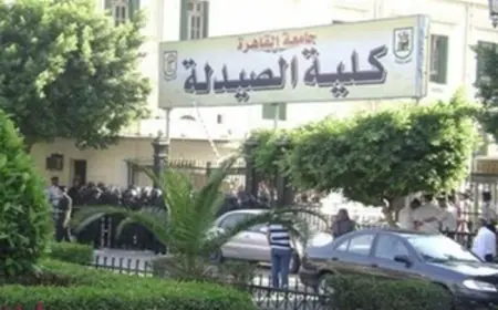 مصر تنتج 4 مليارات عبوة دواء سنويًا وتصدر بقيمة 1.5 مليار دولار للأسواق العالمية وفقًا لرئيس شعبة الصيادلة