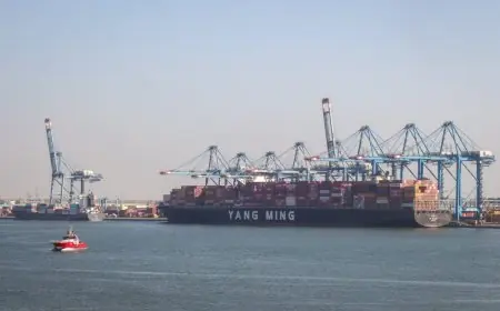 ميناء دمياط يواصل عملياته بكفاءة عالية واستمرارية تشغيلية متميزة