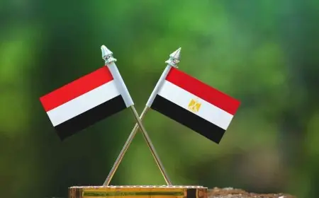 نفي يمني لادعاءات استهداف سفينة بميناء دمياط المصري