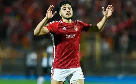 جراديشار يترك الأهلي وينضم إلى سيراميكا كليوباترا غدًا
