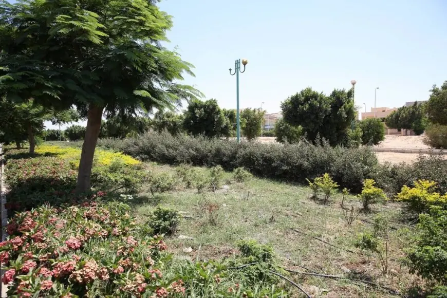 وزيرة الإسكان تطالب بالانتهاء السريع من تطوير طرق وزراعة مدينة بدر