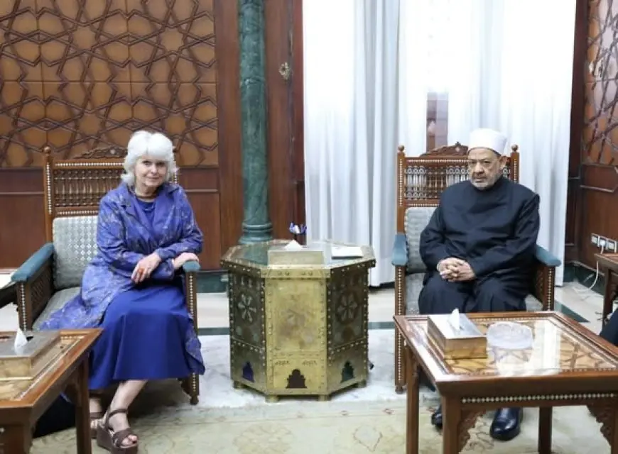 شيخ الأزهر يدعو إلى توافق عالمي حول حقوق الإنسان واحترام الخصوصية الدينية للشعوب
