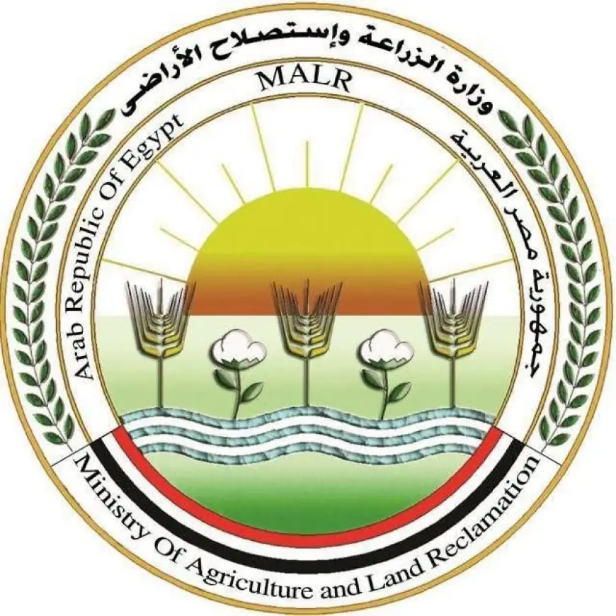 وزارة الزراعة تصدر بيانا عاجلا: استقرار الوضع واستمرار تحصين الجلد العقدي