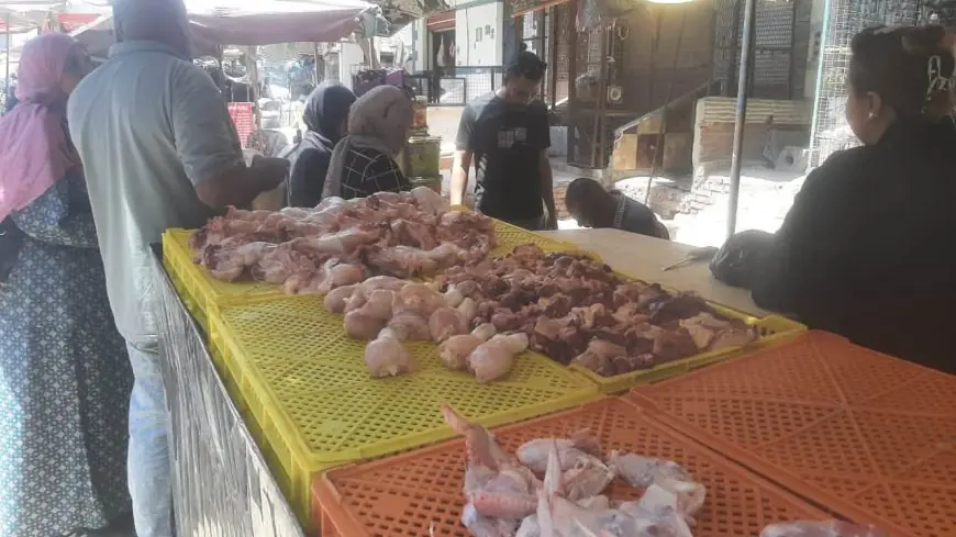 ضبط محل في شبرا الخيمة يحقن الدواجن لزيادة الأوزان بشكل غير قانوني