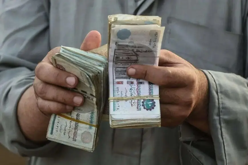 كيفية الاستعلام عن معاش تكافل وكرامة 2026 باستخدام الرقم القومي؛ تعرف على الرابط والخطوات والشروط