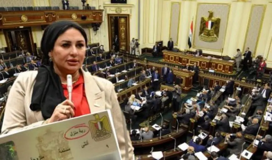 برلمانية تدعو لتحويل لقب “ربة منزل” في البطاقة إلى “صانعة جيل” ومنح المرأة المصرية حقها الأصيل