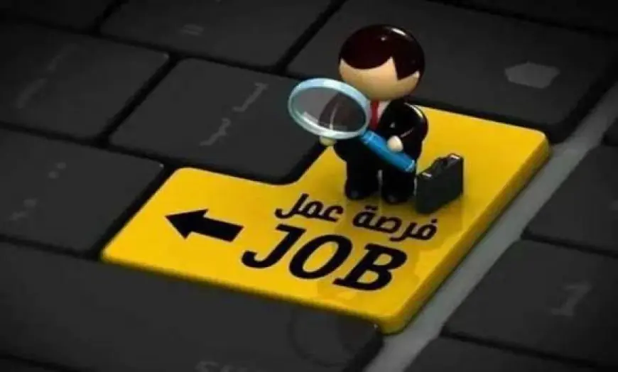 وزارة العمل تكشف عن فرص عمل مغرية برواتب تصل إلى 40 ألف جنيه