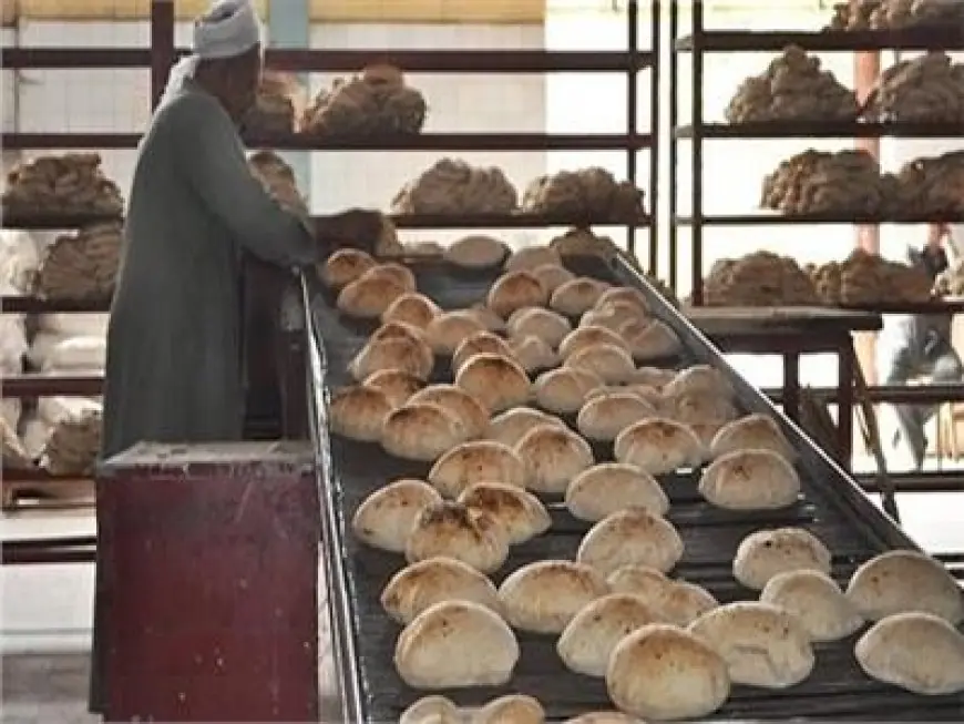 شعبة المخابز تؤكد: خصم مباشر دون تأثير على المواطن أو سعر الرغيف