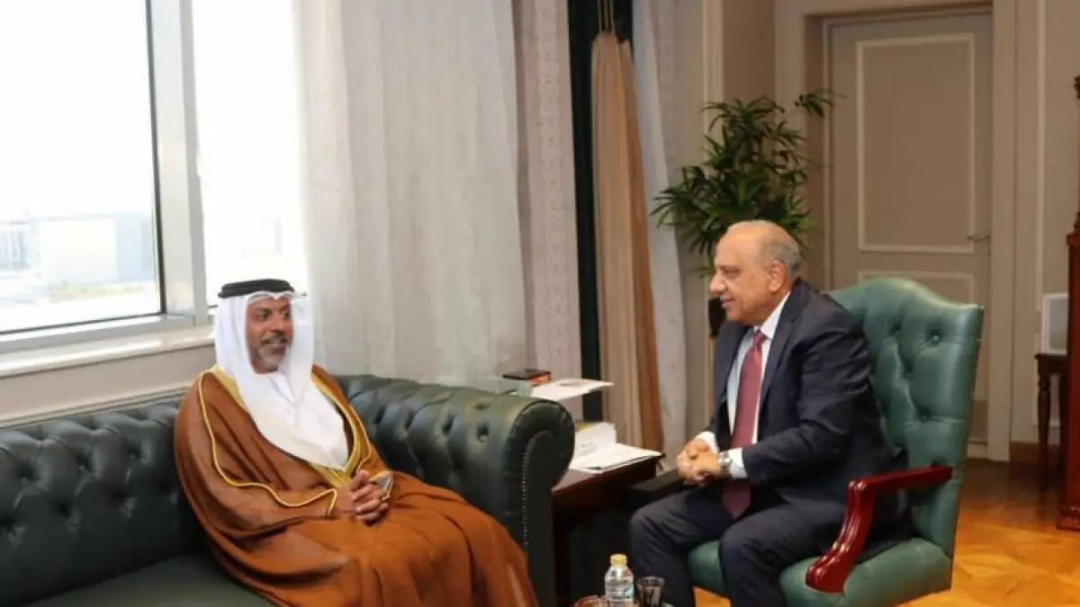 تعاون مصري إماراتي لتحقيق تحول طاقي متقدم وتحديث شامل لشبكة الكهرباء