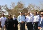 محافظ القاهرة يتفقد جودة الخدمات في حي المعادي لخدمة المواطنين بشكل أفضل