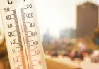 غدا يبدأ التسجيل في تنسيق الجامعات تعرف على الخطوات والطريقة الصحيحة في المرحلة الأولى