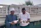 إطلاق حملات مكبرة لإزالة الإشغالات في الأحياء الشرقية والوسطى والمنتزه ثانٍ بالإسكندرية