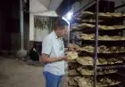 محافظ الدقهلية يكرم مديرة مركز علاج الأورام بميت غمر بمكافأة تشجيعية