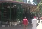 بحث كوري: كيف تساهم تربية الحيوانات الأليفة في تحسين الصحة النفسية وتقليل الاكتئاب