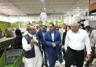 رئيس الوزراء يزور معصرة زيتون فيرجينيا المطورة لمتابعة التطورات الحديثة