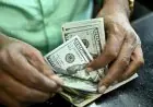 ارتفاع سعر الدولار بأكثر من 20 قرشًا أمام الجنيه في البنوك