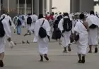 التضامن تفتح باب التقديم لحج الجمعيات الأهلية 2027 اكتشف الشروط والمواعيد الآن