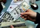 تحديث سعر الدولار اليوم مقابل الجنيه في البنوك – الأحد 16 أغسطس 2026