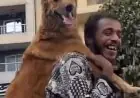 صدمة اتهام صاحب الصورة الشهيرة بكلب على كتفه بالسرقة بعد تقديمه المساعدة
