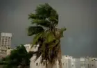 تعرف على حقيقة عفريت الغبار من الأرصاد الجوية ومتى تشكل تهديدًا