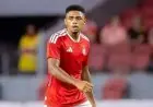 إنترناسيونال يواجه خطر الهبوط بتعادل جديد أمام ريمو في الدوري البرازيلي