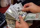 تعرف على سعر الدولار اليوم الخميس 20 أغسطس 2026 قبل اجتماع المركزي في ختام التعاملات