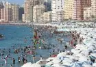أول رد لمحافظة الإسكندرية على مقتل سيدة بالشاطئ على يد عامل والقرار بفسخ التعاقد