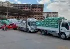 إنجاز تاريخي لمصر بتصدرها إنتاج القمح عربياً بـ10 ملايين طن سنوياً
