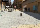 محافظ الجيزة يشرف على انطلاق أعمال رصف وتطوير شوارع الوراق