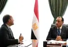 مدبولي يشرف على تحسين الخدمات الضريبية وتفعيل التحول الرقمي في وزارة المالية