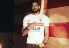 الزمالك يتعاقد مع رضا هيكل لتقوية صفوف فريق الكرة الطائرة