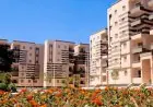 تعرف على دور هيئة تنظيم السوق العقاري في حماية حقوق المشترين وضمانات الوحدات