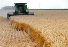 دور إعادة استخدام مياه الصرف في تعزيز التوسع الزراعي وزيادة الرقعة الخضراء