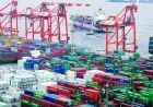 وزير الزراعة يكشف نجاح الصادرات المصرية بتحقيق 6.8 مليون طن حتى اللحظة